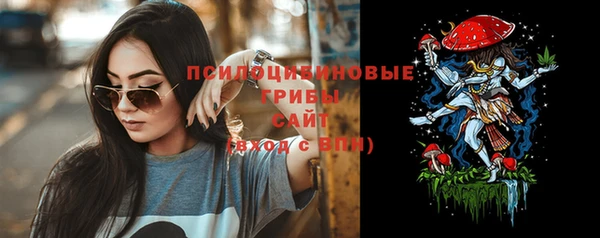 ешки Коряжма