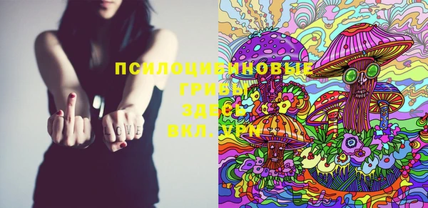 ешки Коряжма