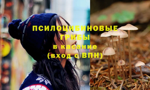 ешки Коряжма