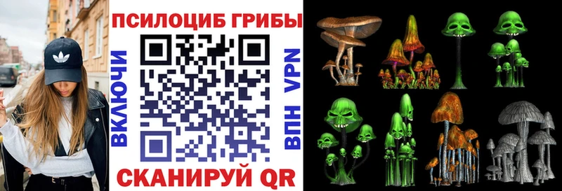 Купить закладки  Копейск  Псилоцибиновые грибы Psilocybine cubensis 